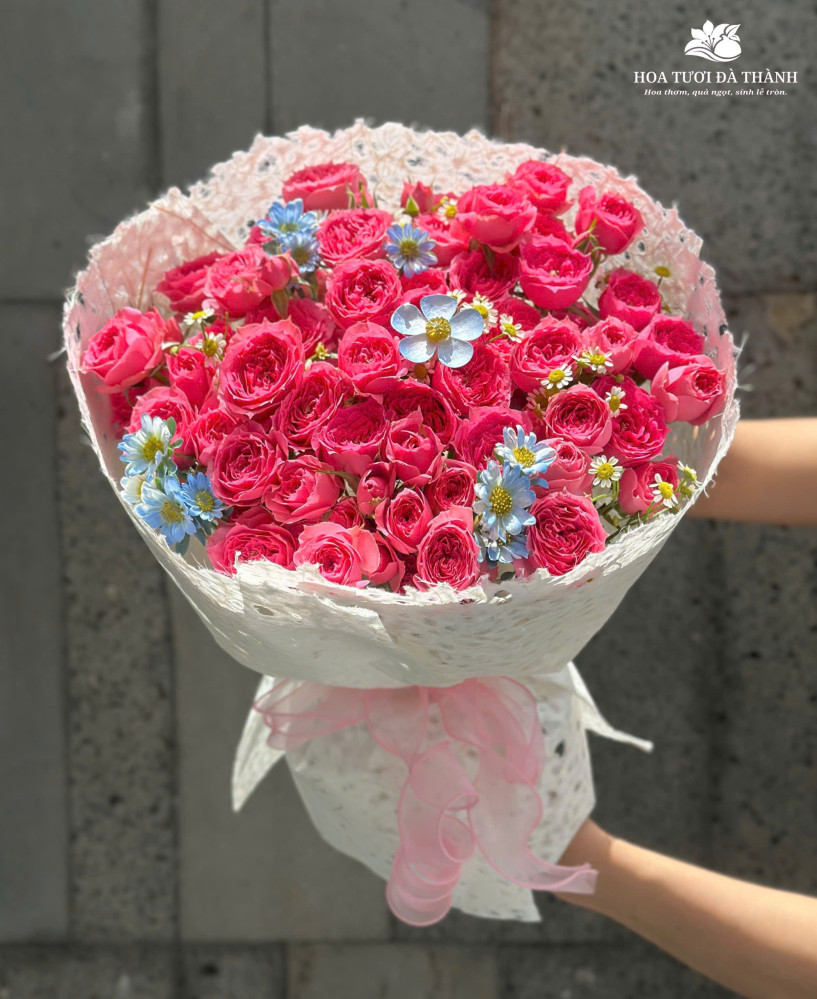 HSN21